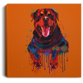 Hand Painted Rottweiler Square Canvas .75in Frame