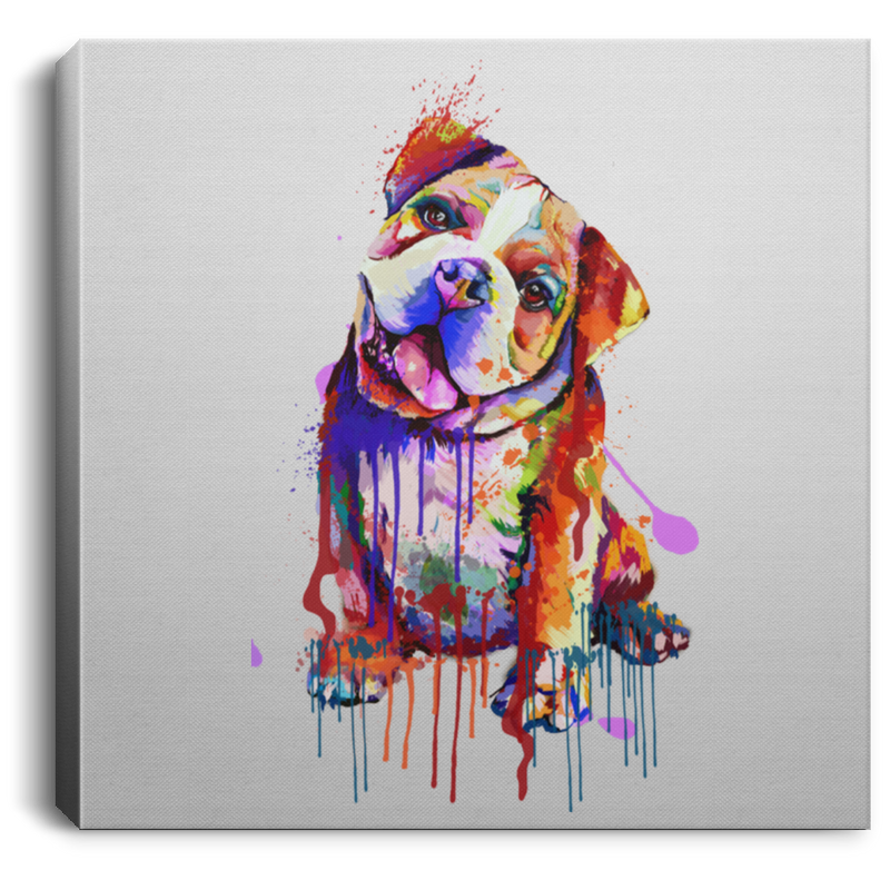 Hand Painted Bull Dog Square Canvas .75in Frame