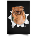 GERMAN SPITZ KLEIN Satin Portrait Poster