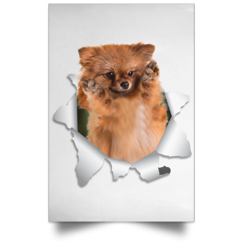 GERMAN SPITZ KLEIN Satin Portrait Poster